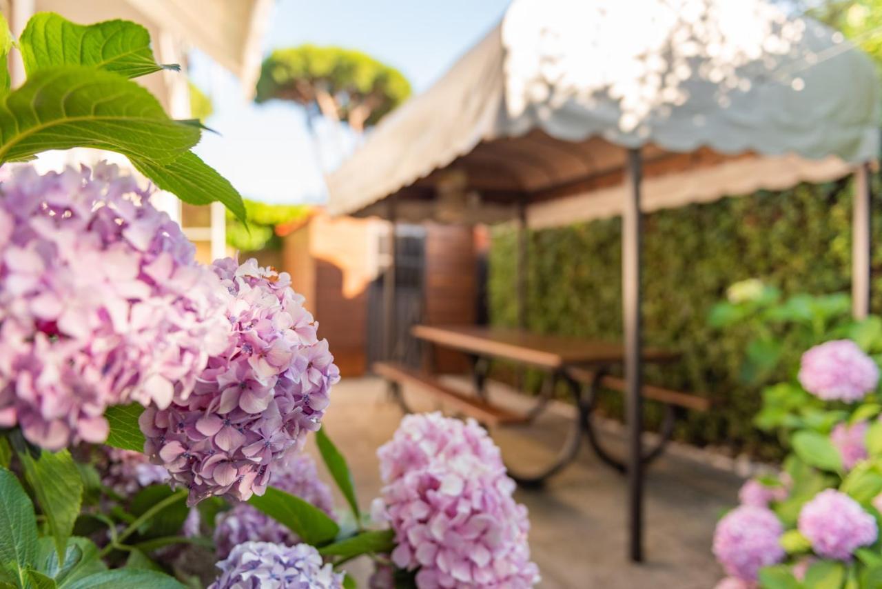 קמאיורה Apartment Holiday Versilia מראה חיצוני תמונה